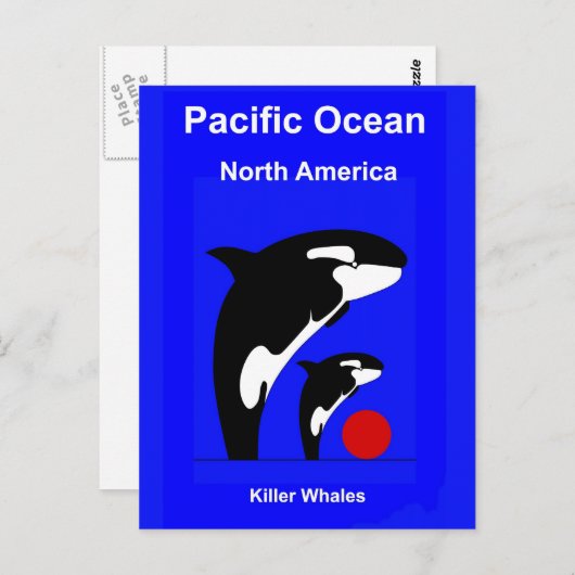 Killer Wales Briefkaart (Voorkant / Achterkant)