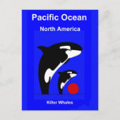 Killer Wales Briefkaart (Voorkant)