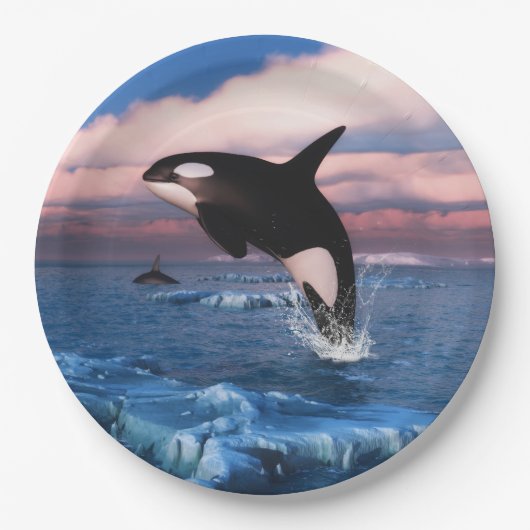Killer wales in de Arctische Oceaan Papieren Bordje (Voorkant)