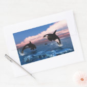 Killer wales in de Arctische Oceaan Rechthoekige Sticker (Envelop)