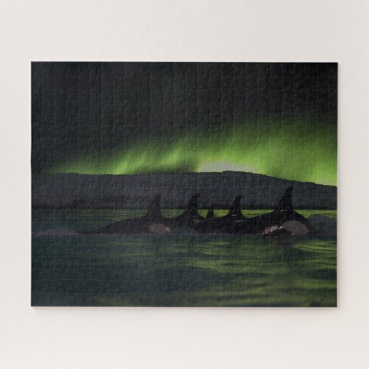 Killer wales under the Aurora - Orca Legpuzzel (Horizontaal)