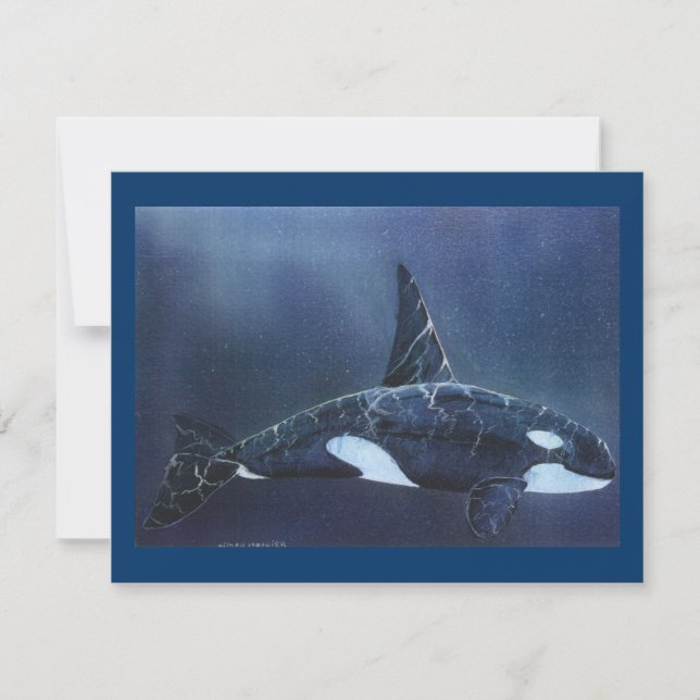 Killer Whale (Voorkant)