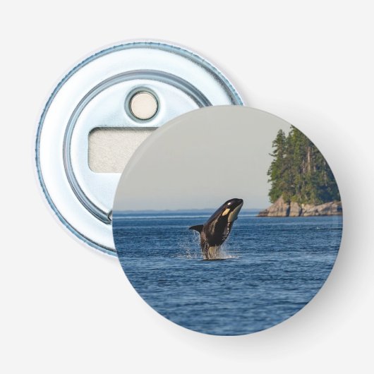 Killer Whale Barriting out Ocean Water Button Flesopener (Voorkant)