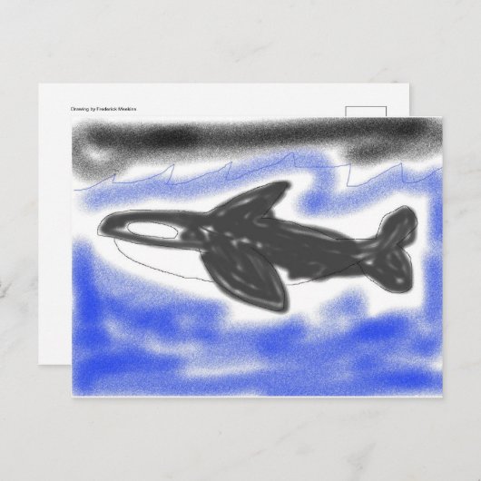 Killer Whale Briefkaart (Voorkant / Achterkant)