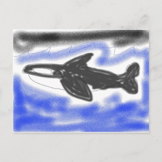 Killer Whale Briefkaart (Voorkant)