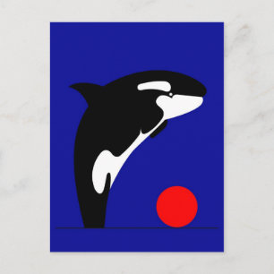Killer Whale Briefkaart