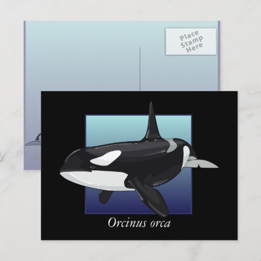 Killer Whale-Briefkaart Briefkaart (Voorkant / Achterkant)