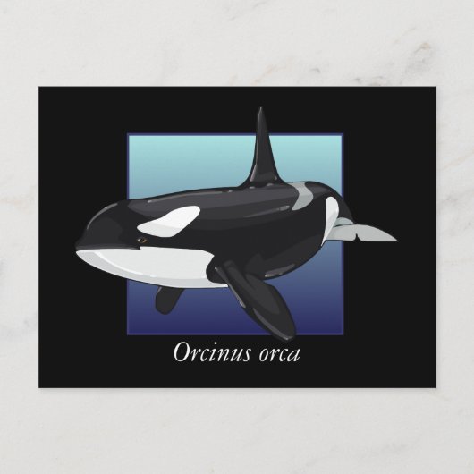 Killer Whale-Briefkaart Briefkaart (Voorkant)