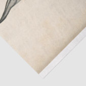 Killer Whale Ephemera Decoupage Nautische Tissuepapier (Detail)