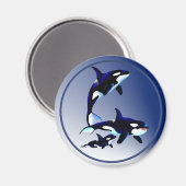 Killer Whale familie magneten (Voorkant / Achterkant)