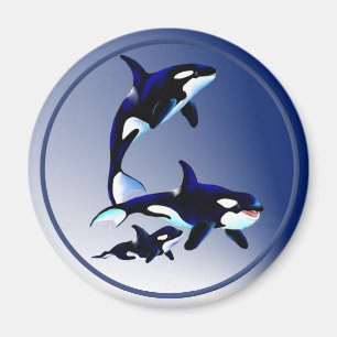 Killer Whale Family Magnets Magneet