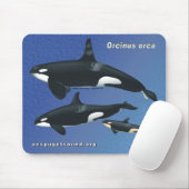Killer Whale Family Mousepad - blauwe textuur bkg Muismat (Met muis)