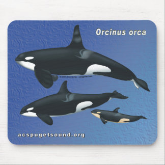 Killer Whale Family Mousepad - blauwe textuur bkg Muismat