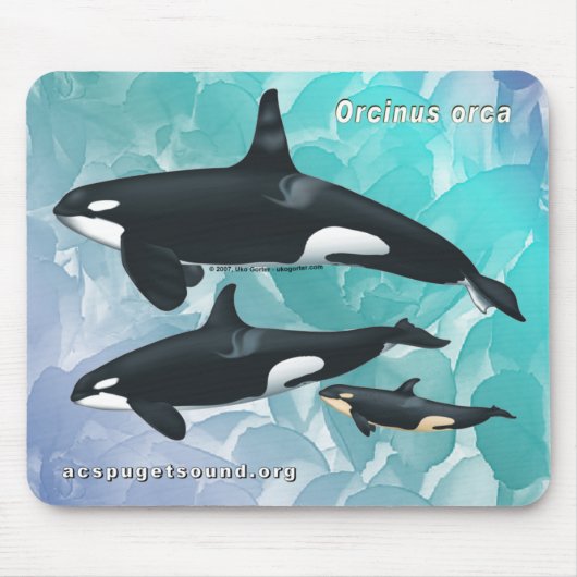 Killer Whale Family Mousepad Blue Waterverf kg Muismat (Voorkant)