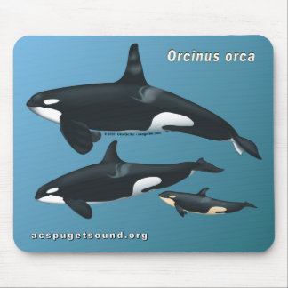 Killer Whale Family Mousepad over Blauwgroen achte Muismat