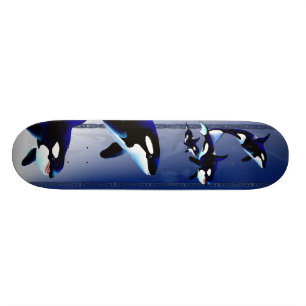 Killer Whale Family Skateboards