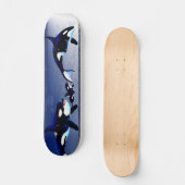Killer Whale Family Skateboards (Voorkant)
