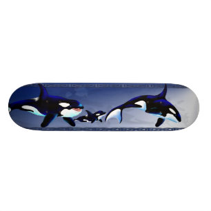 Killer Whale Family Skateboards