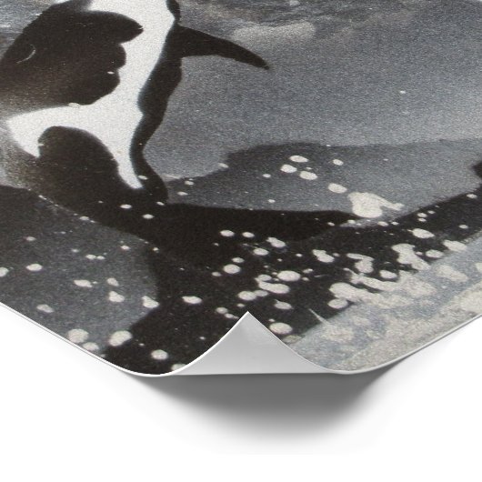 Killer Whale Framed Print (Hoek)