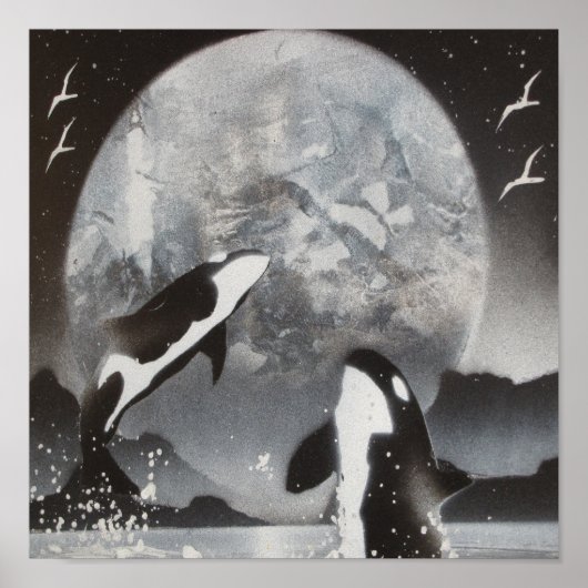 Killer Whale Framed Print (Voorkant)