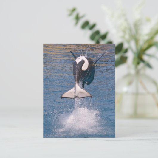 Killer whale jumping out of water briefkaart (Staand voorkant)