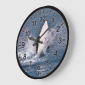 Killer whale jumping out of water grote klok (Hoek)