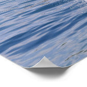 Killer whale jumping out of water poster (Hoek)