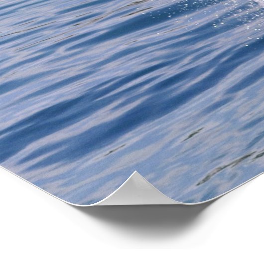 Killer whale jumping out of water poster (Hoek)