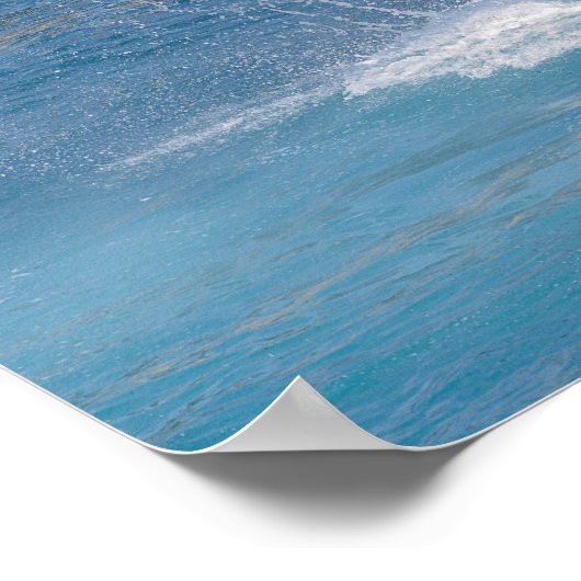 Killer whale jumping out of water poster (Hoek)