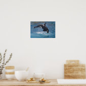 Killer whale jumping out of water poster (Keuken)