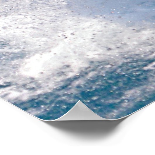 Killer whale jumping out of water poster (Hoek)