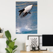 Killer whale jumping out of water poster (Thuiskantoor)