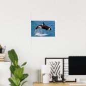 Killer whale jumping out of water poster (Thuiskantoor)