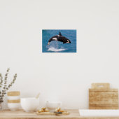 Killer whale jumping out of water poster (Keuken)