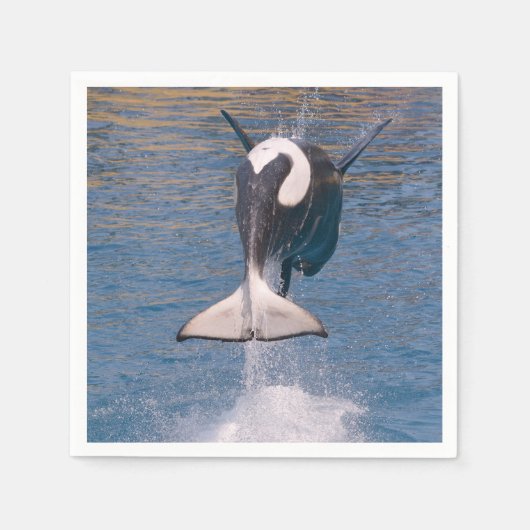 Killer whale jumping out of water servet (Voorkant)