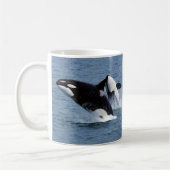 Killer whale koffiemok (Links)