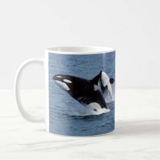Killer whale koffiemok (Links)