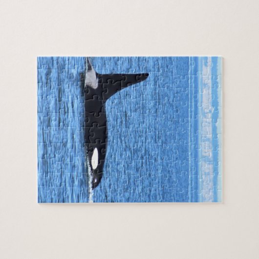 Killer Whale Legpuzzel (Horizontaal)