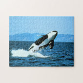Killer Whale Legpuzzel (Horizontaal)