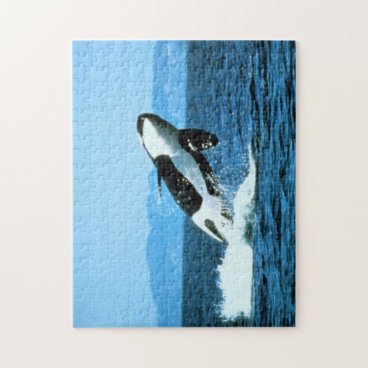 Killer Whale Legpuzzel (Verticaal)