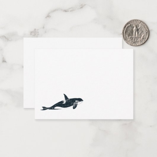 Killer whale notitiekaartje (Voorkant / Achterkant in situ)