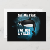 Killer Whale - Orca Briefkaart (Voorkant / Achterkant)