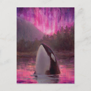 Killer Whale Orca en Pink/Magenta Northern Lights Briefkaart