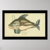 Killer Whale Orca Print (Voorkant)