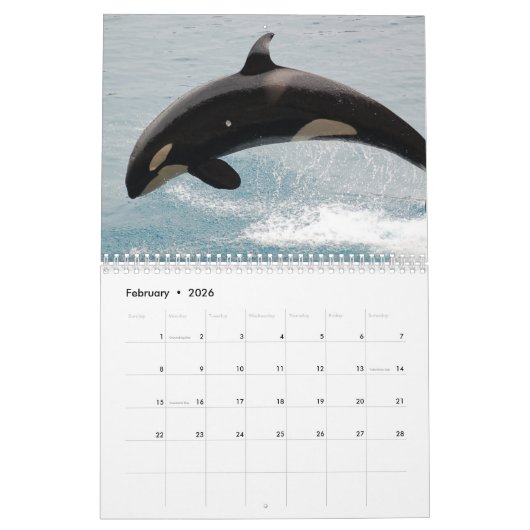 Killer Whale Orcas 2025 Kalender (Feb 2026)