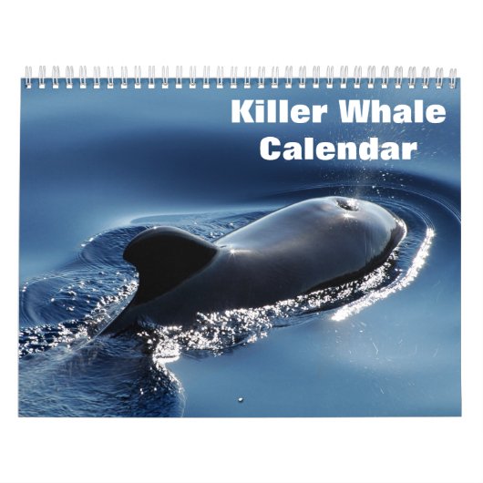 Killer Whale Orcas 2025 Kalender (Hoes)