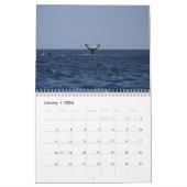 Killer Whale Orcas 2025 Kalender (Jan 2026)