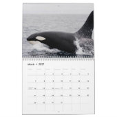 Killer Whale Orcas 2025 Kalender (Mar 2027)