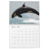 Killer Whale Orcas 2025 Kalender (Feb 2027)