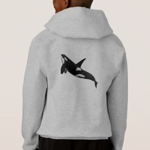 Killer Whale, Orcinus Orca